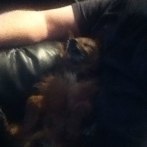 Meet your Posher, Bob